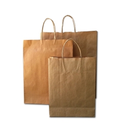 Brown Paper Retail Carry Bags