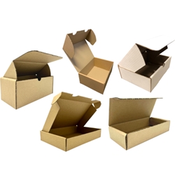 Die Cut (Tuck In Lid) Boxes