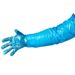 Disposable Polyethylene Gloves from ABL Distribution