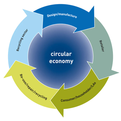 Eco-Friendly Packaging & The Circular Economy Guide In 2021